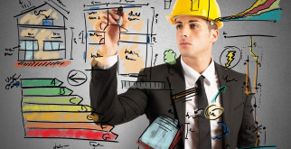 Серая жаба: тайны обитания и интересные факты