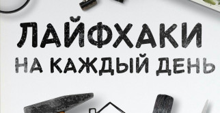 Дикие банкивские куры: Удивительные предки домашних птиц