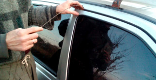 Императорский пингвин: гигант среди братьев по перьям