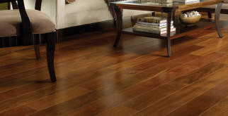 Дакнис – веселый и яркий обитатель водоемов