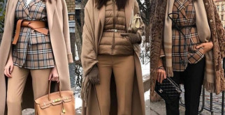 Загадочный мир Pseudocreobotra wahlbergii: Почему эти пауки завораживают!