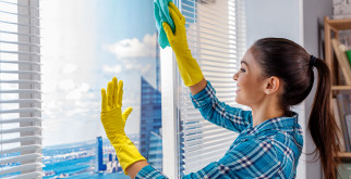 Жук Знахарь: Как Принимать Это Чудодейственное Существо?