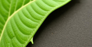 Les bonnes pratiques pour des ongles en bonne santé : guide complet et facile