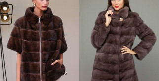 Желтопузик: Удивительная Ящерица с Ярким Характером и Настоящие Фотографии