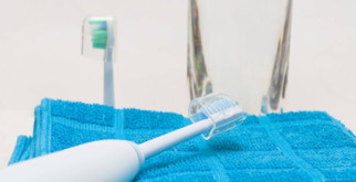 Садовый удав: Невероятный мир экзотического питомца