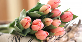 Как жарить блины на индукционном плите: секреты и советы