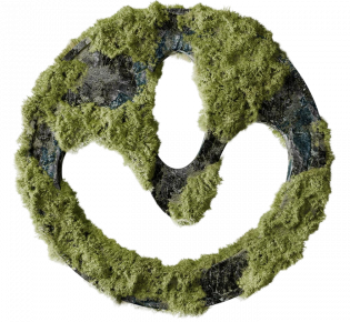 Морской коллаген из глубоководного кальмара