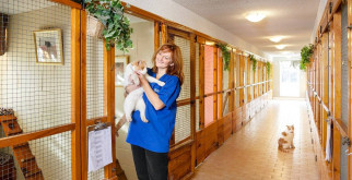 Тайны бабочки-парусника румянцева: окрыленные чудеса нашей природы