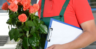 Мир бобров: удивительные факты о строителях природы