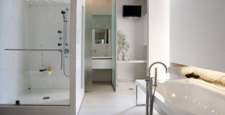 Веерный попугай: Удивительное чудо природы