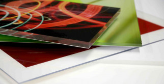 Жук знахарь: необычный целитель природы