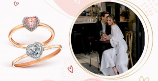 Огромный гигант из тропиков: знакомьтесь, Megaphobema Robustum!