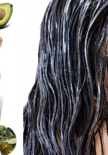 Императорский пингвин: вес, размеры и интересные факты