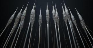 Сколько может храниться какао порошок: секреты, советы и хранение