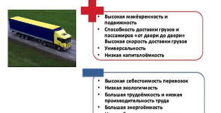 Узнаем больше об уломоиде дерместоиде: загадочный мир жуков