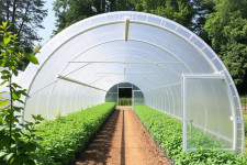 Теплицы-туннели из поликарбоната: простой способ получить хороший урожай круглый год