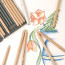 Особенности пастельных карандашей для художников