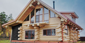 Плоские черепахи: удивительные создания подводного мира