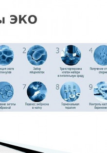 Как проводится экстракорпоральное оплодотворение?