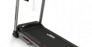 Сколько стоит бегемот? Мифы и реальность ценной дикости