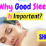 Why Sleep is important?