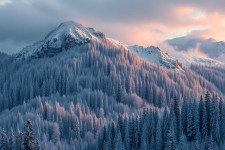 Российская операционная система: что есть сегодня, зачем она нужна и чего ждать завтра