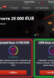 Тараканы и жуки: удивительное разнообразие мира насекомых